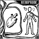 XENOPROBE$B$G8!::$7$F$$$k$H$3$m(J